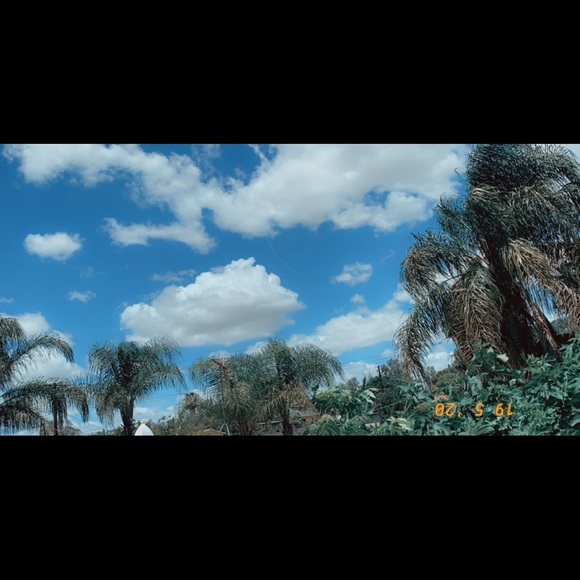 Meet your Posher, Genesis - Picture 1 of 1